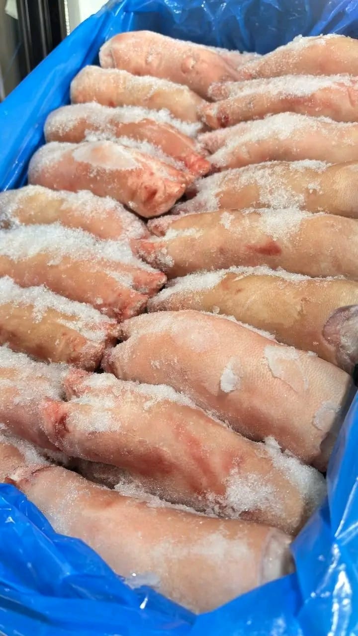 Frozen pork feets